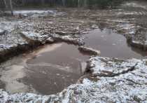 Около Томска нашли еще два пруда-отстойника, в которые сбрасывают остро «пахнущие» отходы