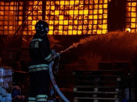 Без жертв не обошлось: есть погибшая в пожаре на новосибирском складе