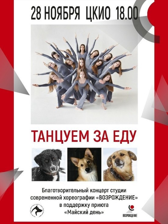 В Иванове пройдет акция "Танцуем за еду для животных"