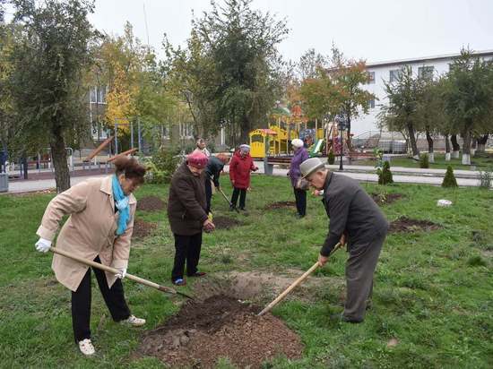 Ветераны района Калмыкии посадили деревья