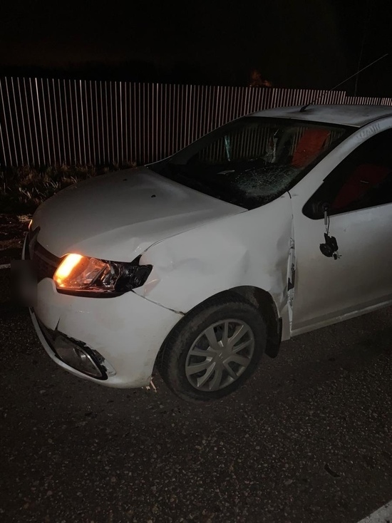 В Тверской области пьяный водитель сбил пьяного пешехода