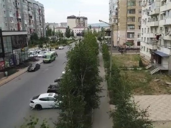Житель дагестанского Каспийска своими руками озеленил целую улицу