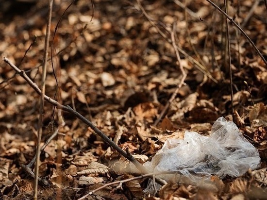 Властям Читы дали месяц на уборку мусора возле свалки в Ивановке