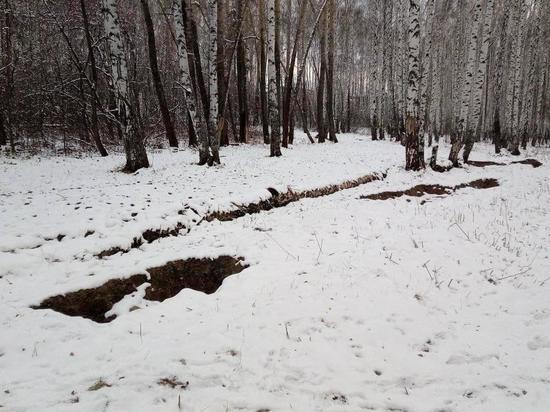 Странные ямы появились в лесу, где прятали тела членов царской семьи