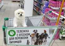 Проект запустят во всех 18 гипермаркетах «Аллея», открытых на территории трех регионов Сибири