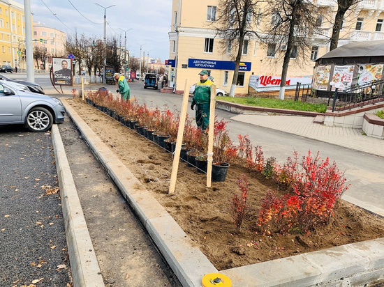 На проспекте Гагарина в Смоленске началась высадка зеленых насаждений