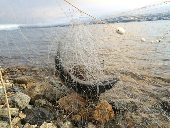 Нелегальные рыбаки Колымы добыли за сезон 25 тонн рыбы и 4 тонны икры