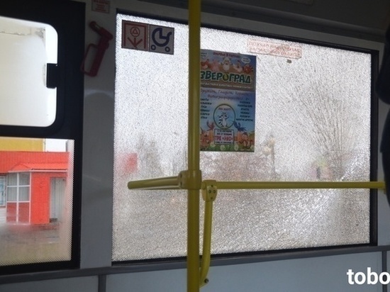 В Тобольске подростки утроили стрельбу в автобусе