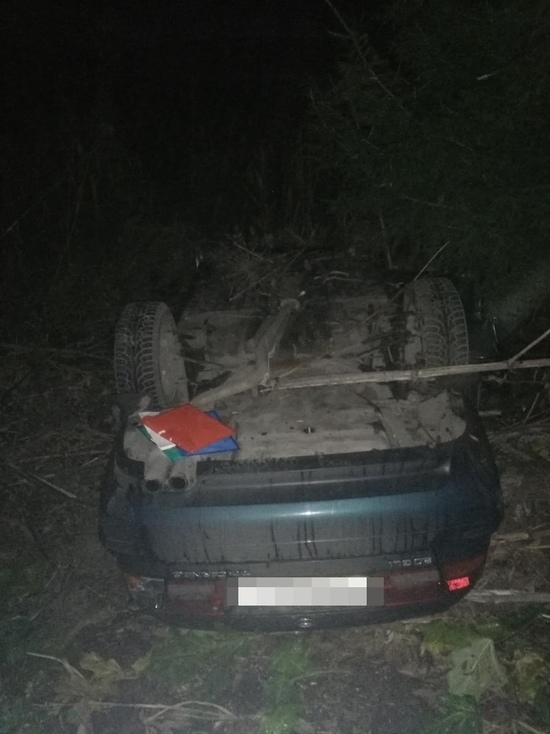 В Тверской области автомобилист съехал в кювет и опрокинулся