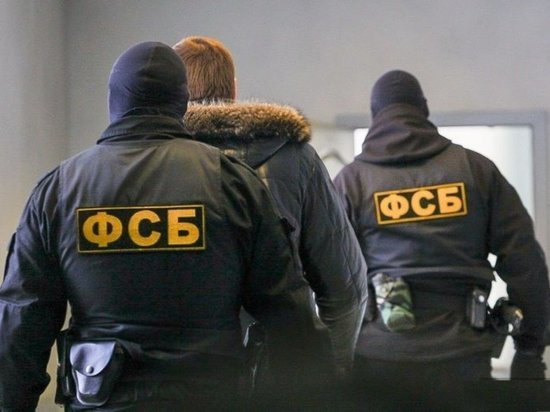 В краевом минлесхозе ФСБ изъяла документы после обысков В краевом минлесхозе ФСБ изъяла документы после обысков