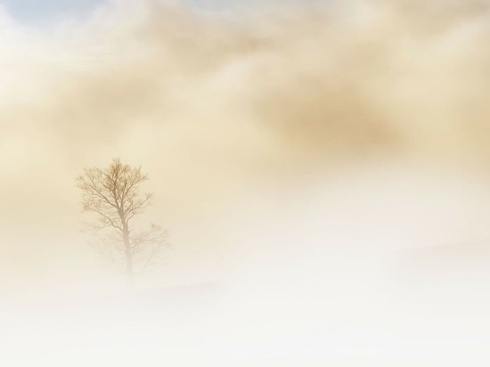 Украину окутал густейший туман