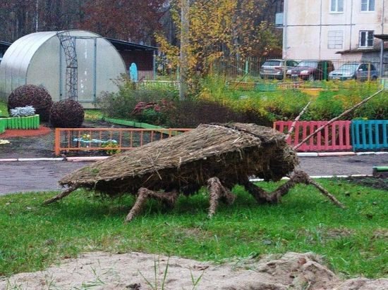 В Ярославле появился детский сад с тараканами