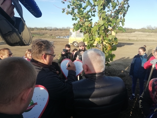Губернатор Ставрополья посадил именные деревья