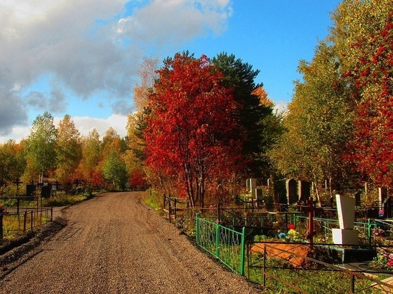 На одном из кладбищ Кировской области спилили кресты и оградки