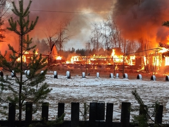 Спасти не удалось: школа и детский сад полностью сгорели в Карелии