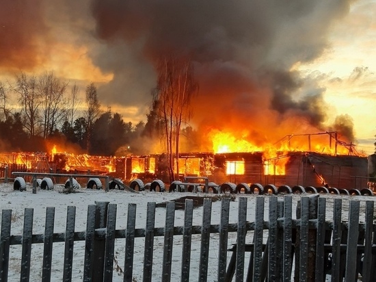 В Сети появилось видео горящей луусалмской школы