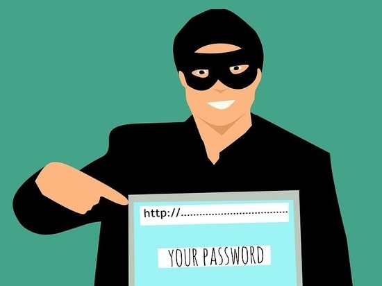 Петербуржец потерял в Карелии более 300 тысяч рублей, поверив мошенникам