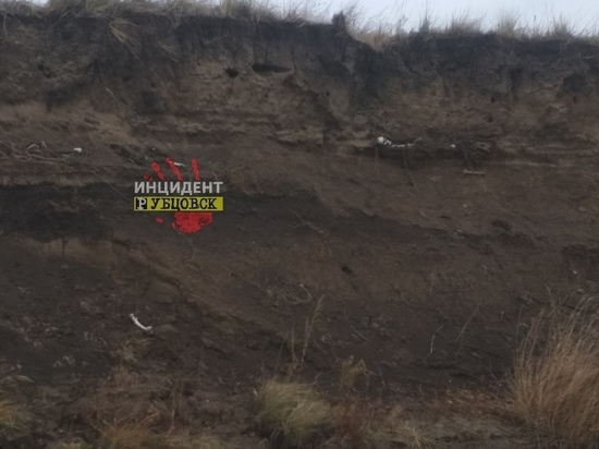 Человеческие кости обнаружили на берегу реки в Алтайском крае