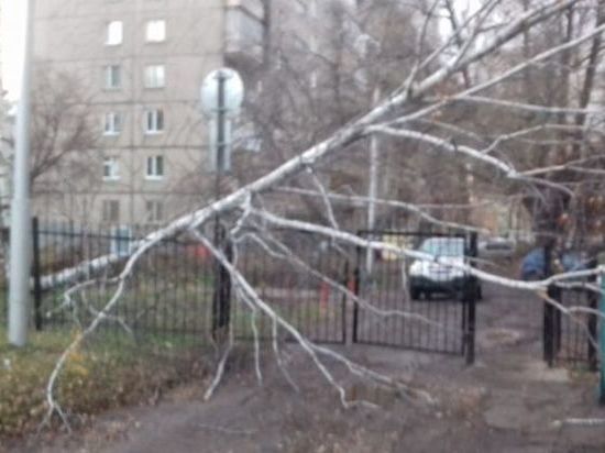 В Уфе ураганный ветер валил деревья и выводил из строя светофоры