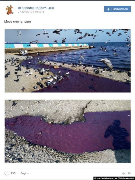 Море у берегов Феодосии стало фиолетовым
