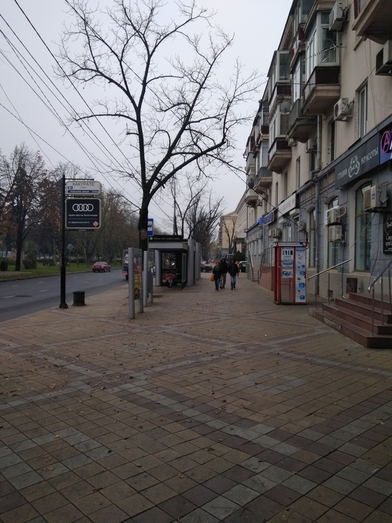 Краснодарцев возмутил спил зеленых насаждений в центре Краснодара