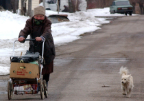 В поселке Алча Красноярского района Астраханской области ушла из жизни Танзиля Насихановна, которая до этого момента была самым пожилым человеком на планете
