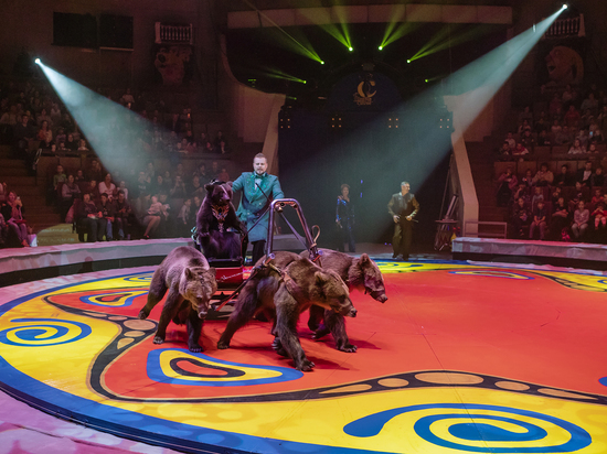 Гастроли посвящены 70-летию всемирно известного аттракциона «Медвежий цирк»