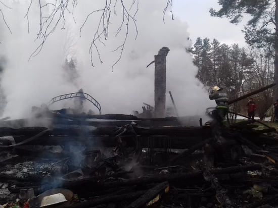 Семья с тремя детьми сгорела в дачном доме у деревни Васкелово