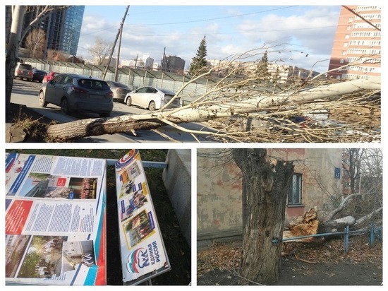 Какие разрушения ураган нанес Новосибирску