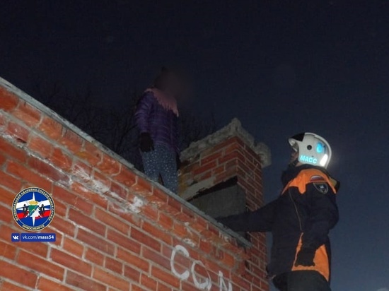 В Новосибирске девочка вызвала спасателей, чтобы ее сняли с крыши