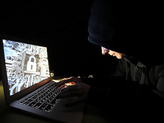 Хакера из Брянска будут судить за вирус-воришку