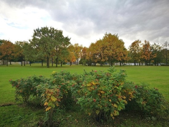 Парламент Петербурга официально разрешил уничтожить Сад на Неве