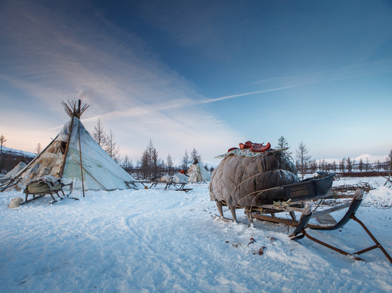 Бесплатную поездку в Арктику разыгрывают для жителей России