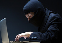 Полиция предупредила забайкальцев об участившихся случаях мошенничества, жертвами которого становятся держатели карт «Халва» от «Совкомбанка»