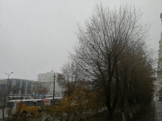 Ноябрь встретил Оренбургскую область мокрым снегом и сильным ветром