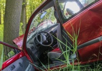 В лесу под Воронежем была обнаружена машина, в которой сидел водитель, лишенный головы, сообщает «Вести Воронеж» со ссылкой на правоохранительные органы