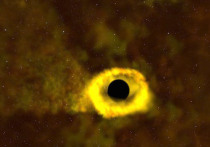 Группа ученых, представляющих Университет штата Огайо, обнаружили в созвездии Возничего объект, с немалой вероятностью являющийся самой маленькой черной дырой из известных