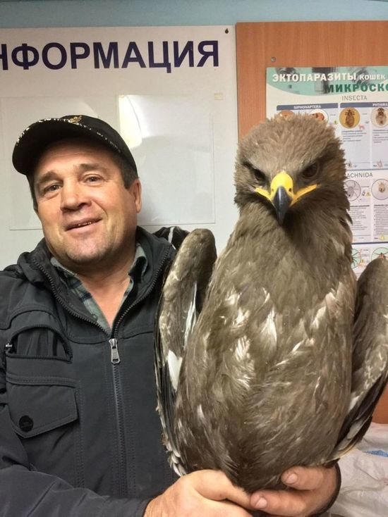 Житель алтайского села спас краснокнижную птицу