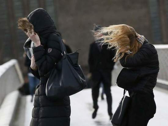 МЧС предупредило забайкальцев о ветре до 28 метров в секунду 4 ноября