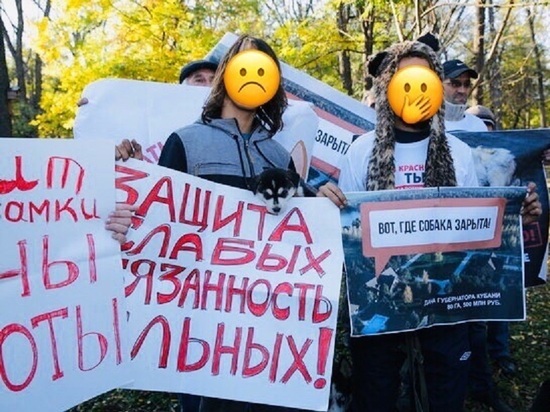 Несостоявшуюся зоозащитную акцию в Краснодаре превратили в провокацию