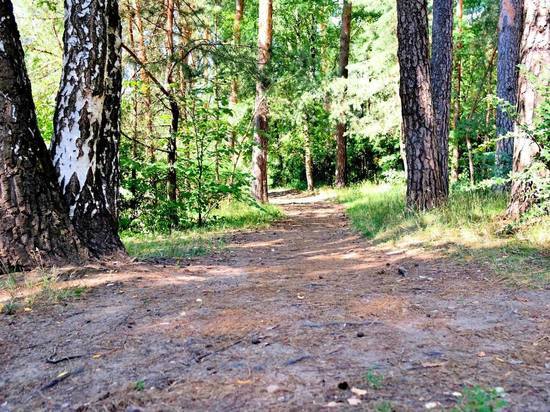 В Москве побит 140-летний температурный рекорд