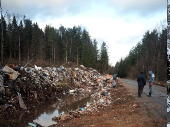 Со стихийной свалки в Карелии вывезли 600 «кубов» мусора, копившегося годами