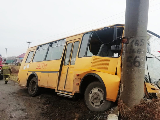 Школьный автобус врезался в столб на Алтае