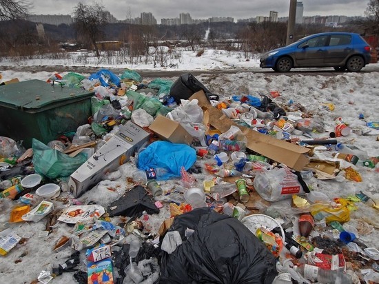 Медведев уволил из Минприроды куратора мусорной реформы