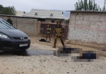 Вооруженная группа из 20 человек напала на погранзаставу на таджикско-узбекской границе