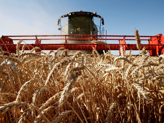 В Краснодарском крае с начала года произвели сельхозпродукции на 304 млрд