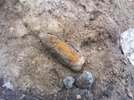 В Смоленской области были найдены две минометные мины
