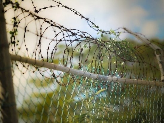 В Салехарде многодетная мать отправится в колонию за долг по алиментам