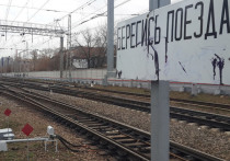 5 ноября москвичка погибла под колесами поезда, перебегая на красный свет пути в Савеловском районе