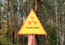 Российские специалисты планируют провести серию экспериментов, чтобы выяснить, каким образом радиацию можно было бы использовать для оптимального хранения сельхозпродукции